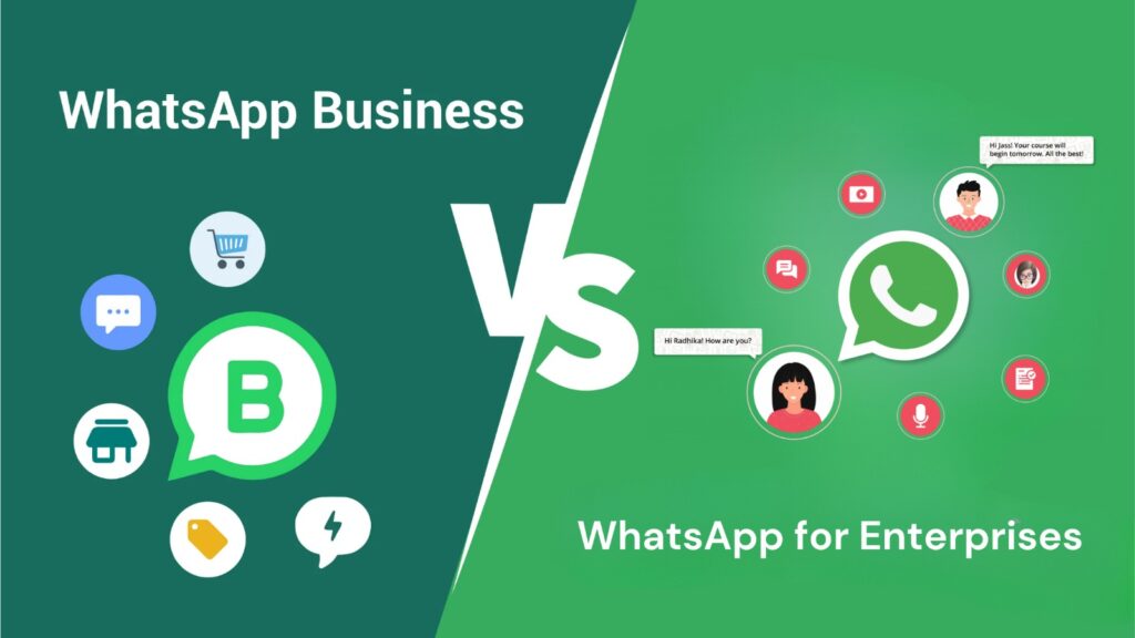 Whatsapp enterprises vs whatsapp business