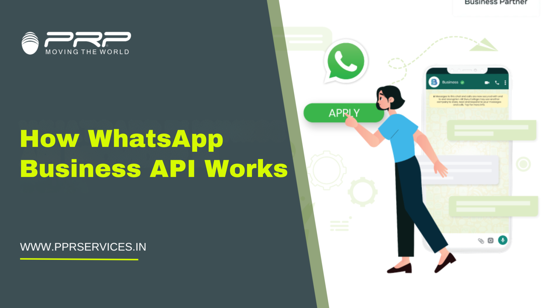 whatsapp business api